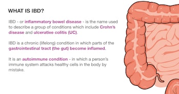 What is inflammatory bowel disease (IBD)
