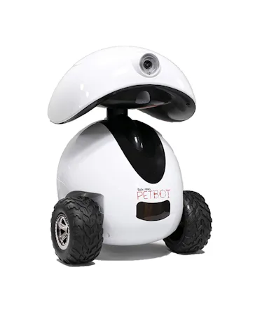 Smart Pet Products You Didn't Know You Needed