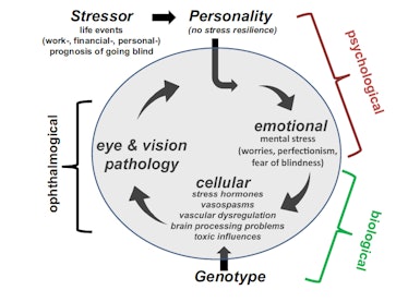 stress personality vision 
