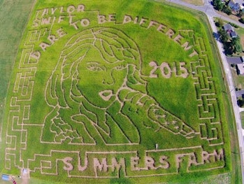 In 2015, Summer Farms created a corn maze dedicated to Taylor Swift.