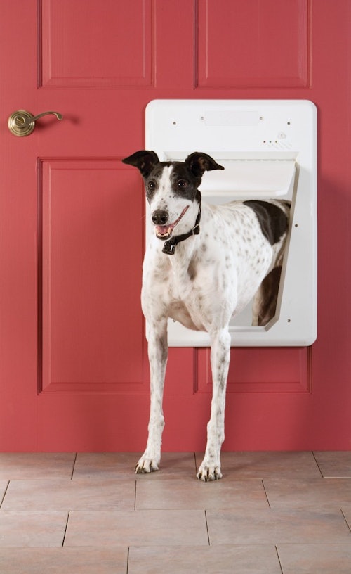 PetSafe Electronic SmartDoor, Automatic Dog and Cat Door