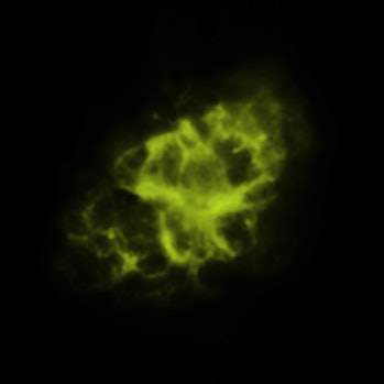 Crab Nebula NASA Image