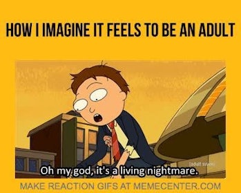 The 36 Best Rick And Morty Memes