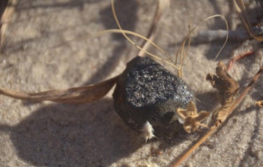 botswana asteroid