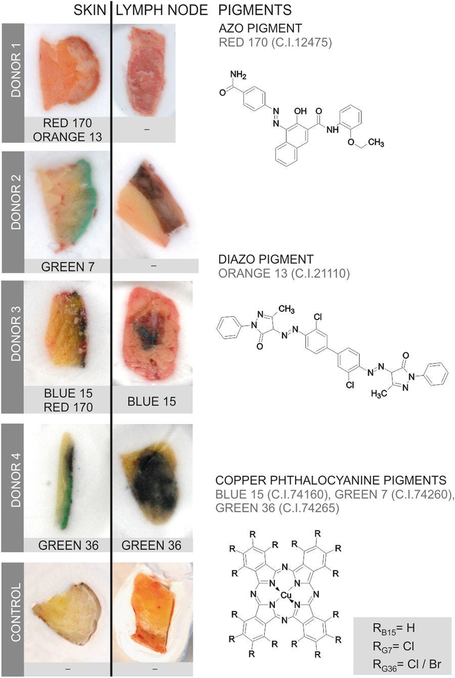 Nanoparticle Scientists Warn Tattooed Folks Ink Doesn't Stay Put