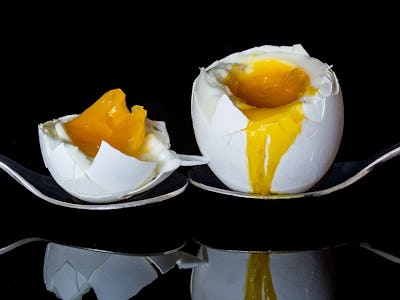 What is Japan Egg Worth?