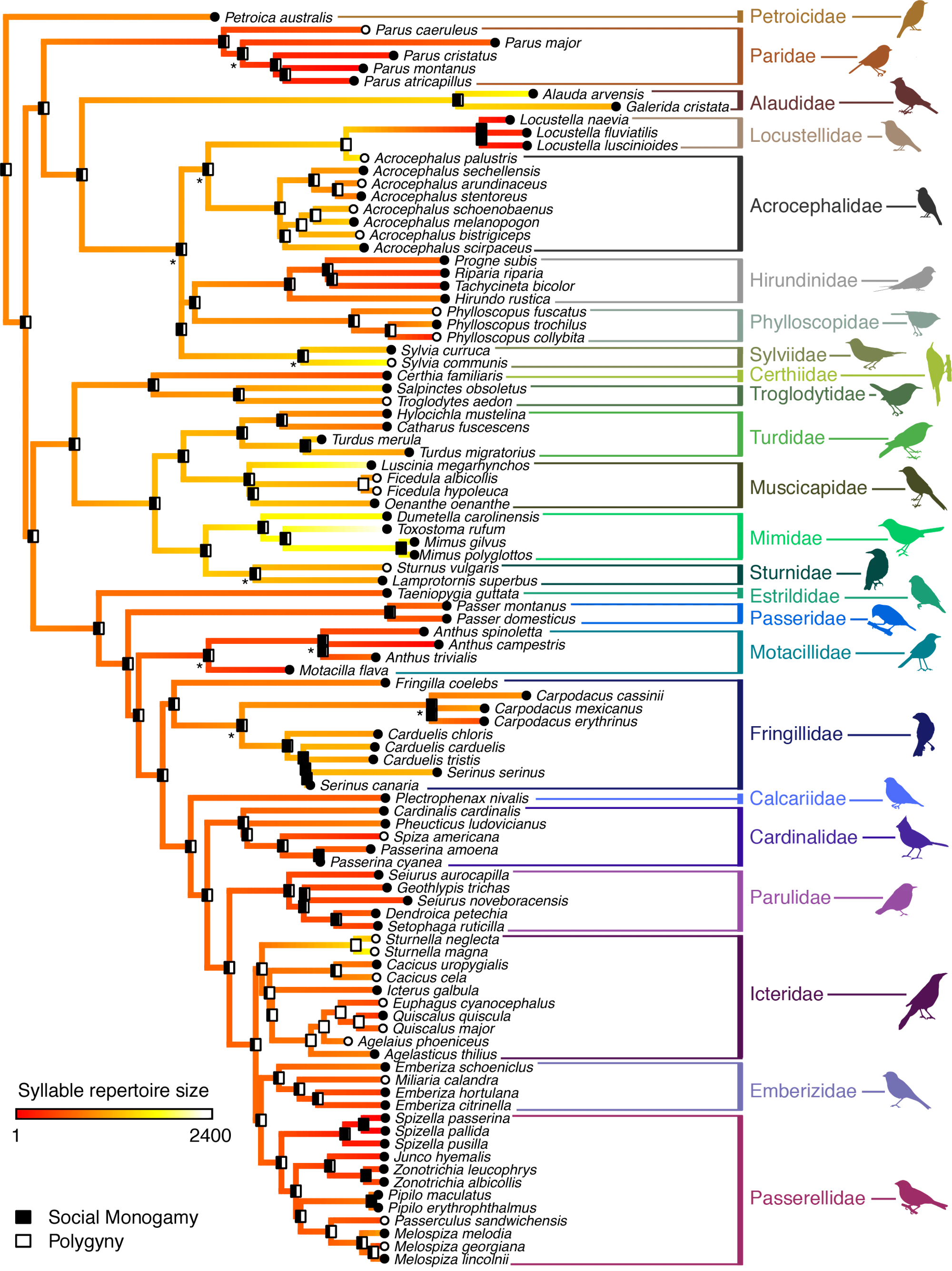 Bird Science: A common Conception About a Bird's Song Upended in New Study