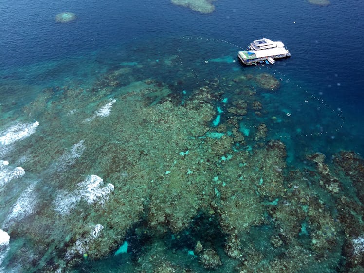 Great Barrier Reef - view from helicopter (10)