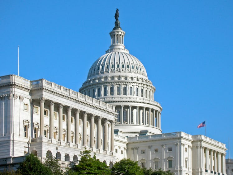 The U.S. Capitol