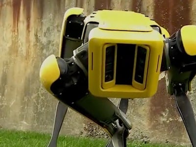 A yellow-black robotic dog by Boston Dynamics