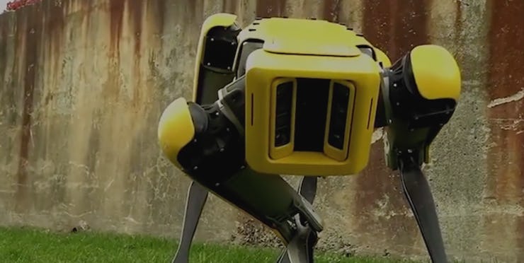 A yellow-black robotic dog by Boston Dynamics