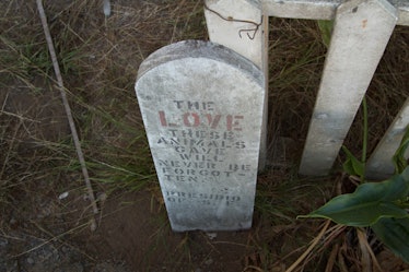 A white tombstone with washed-off writings.