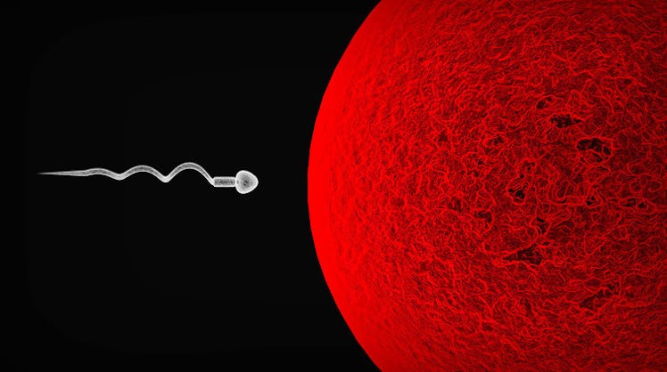 sperm egg infertility