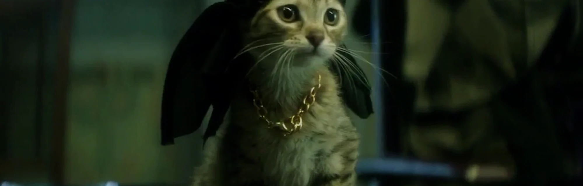 Trailer For Key Peele Movie Keanu Looks Like A Brilliant John Wick Spoof