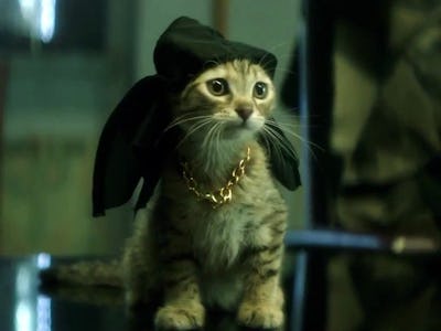 A cat wearing a bandana in Key & Peele Movie 'Keanu' 