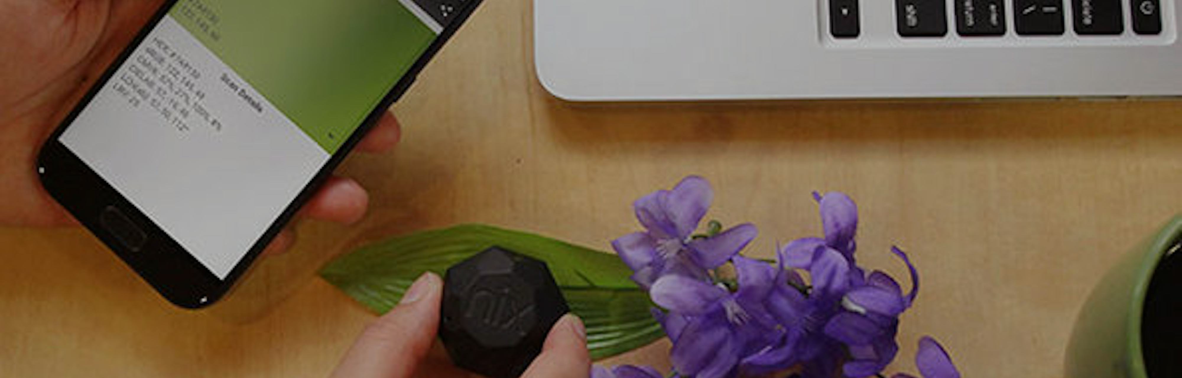 This Paint App Lets You Scan Any Color and Test It on Your Walls Virtually