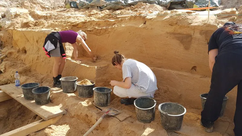 9.7 Million-Year-Old Teeth Found in Germany Could Reshape Human History