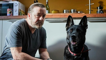 Ricky Gervais with dog in 'After Life' on Netflix