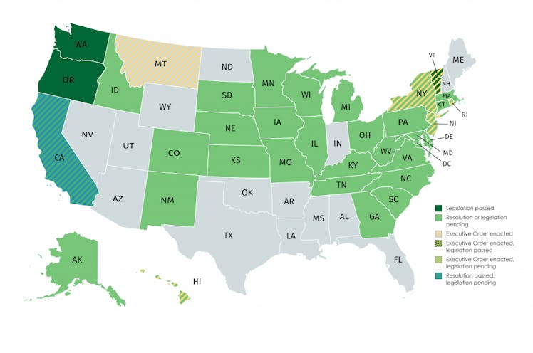 Map of state actions in response to net neutrality repeal 