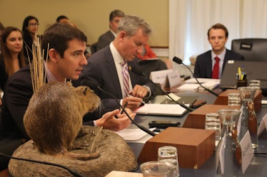 nutria on desk while man talks to Congress