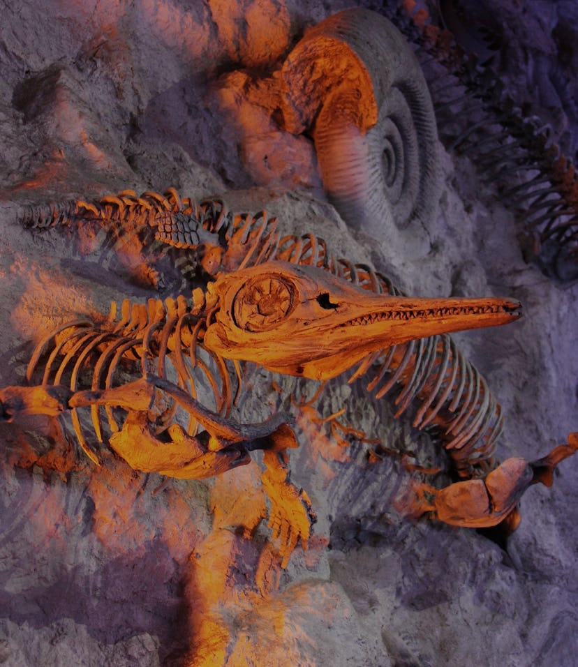 Why Rapid Extinction May Signal Devastating Consequences for the Ecosystem