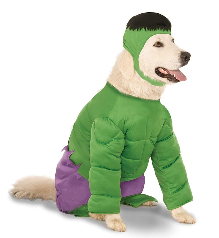 Hulk Pet Costume