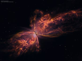 The Butterfly Nebula Floats Toward Death In This Hubble Image The butterfly nebula (ngc 2346) is a planetary nebula near the celestial equator of the constellation monoceros that was first observed by william hershel in 1795. butterfly nebula floats toward death