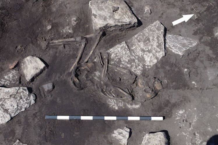 An adolescent skeleton at the massacre site
