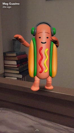 The dancing dog on Snapchat camera