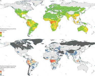 global map of snake bite risk
