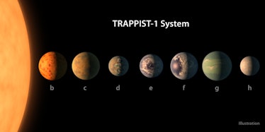The Trappist star system