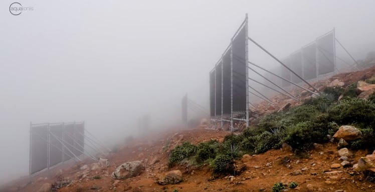 CloudFisher on mountain