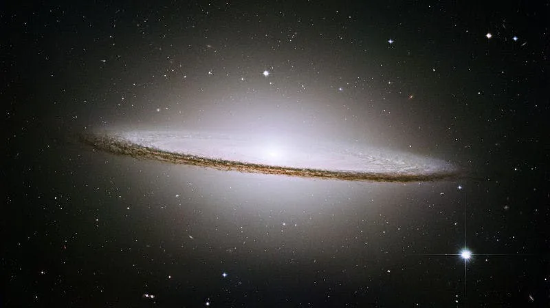 Biologists predict what will happen if we try to make babies in space