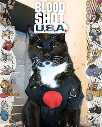 Bloodshot USA Cat Cosplay Variant Cover for Valiant Comics