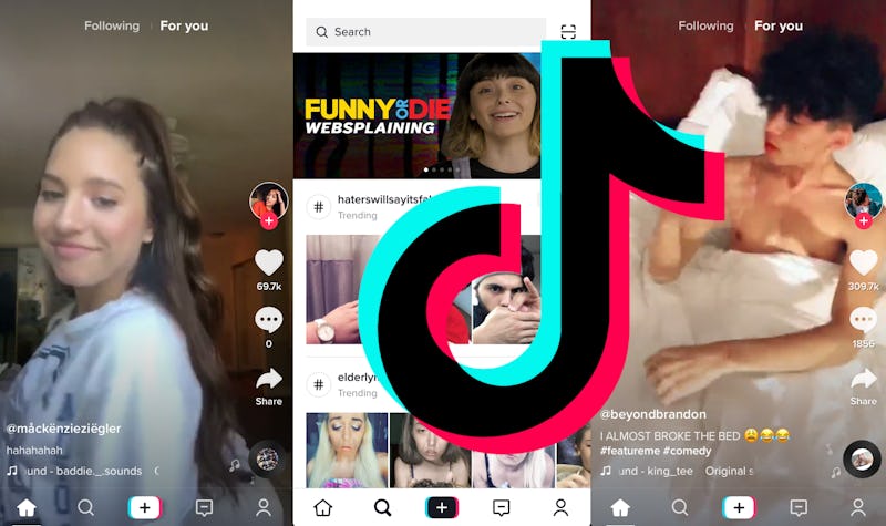 A compilation of three TikTok posts presented in a collage format.
