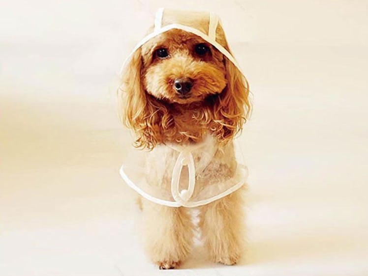 Clear Waterproof Pet Hoodie