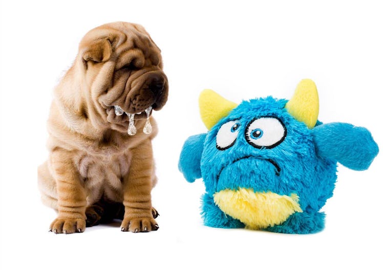 lizpet monster ball toy dog