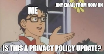 privacy pigeon meme