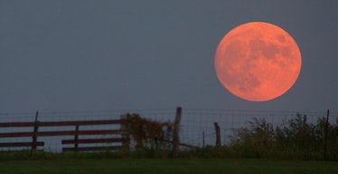 Harvest moon has a reddish color because of its place in the atmosphere.