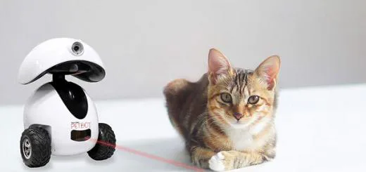 Smart Pet Products You Didn't Know You Needed