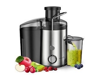 Easehold Dual Speed 600W Juicer