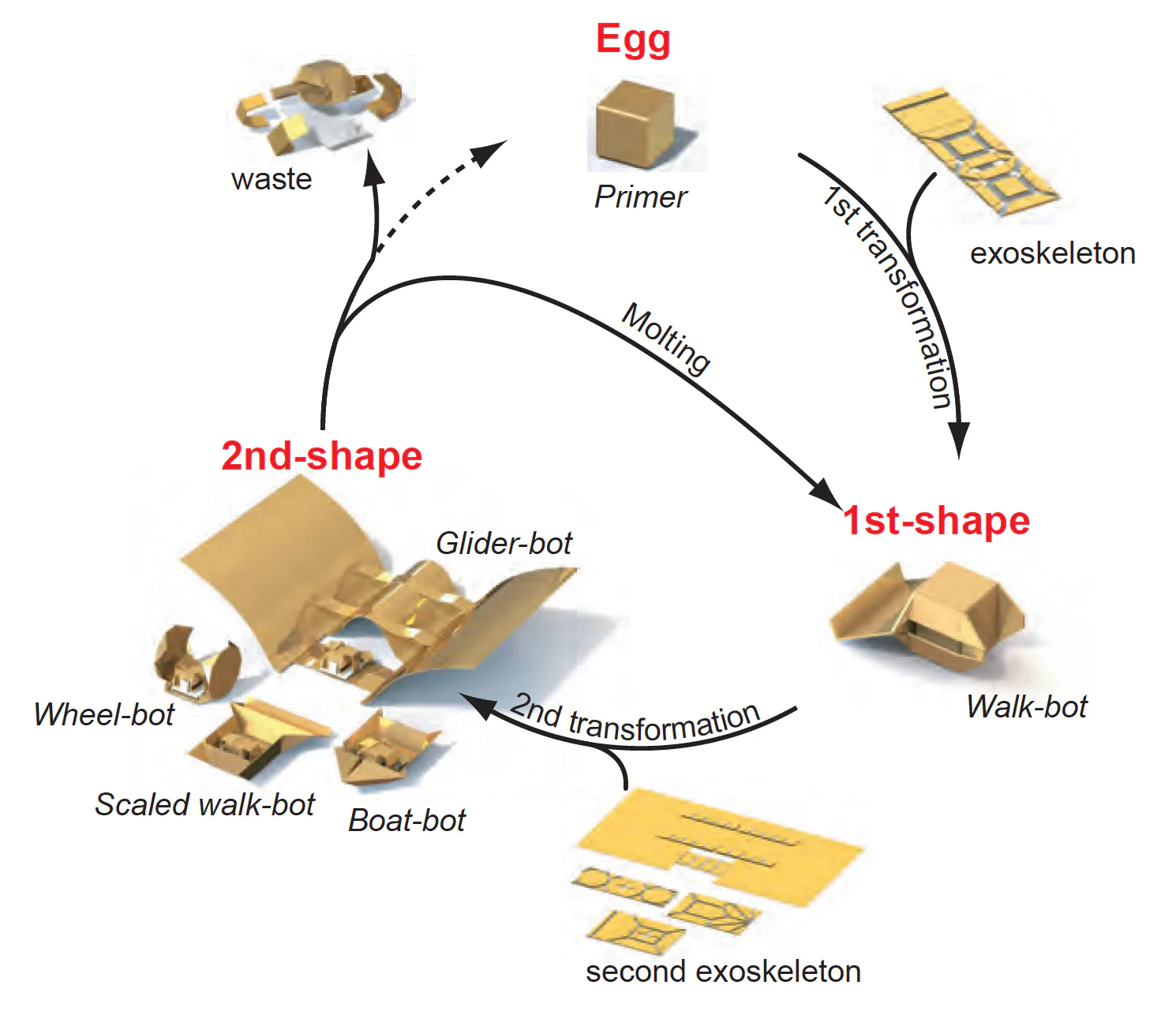 MIT Researchers Look to 