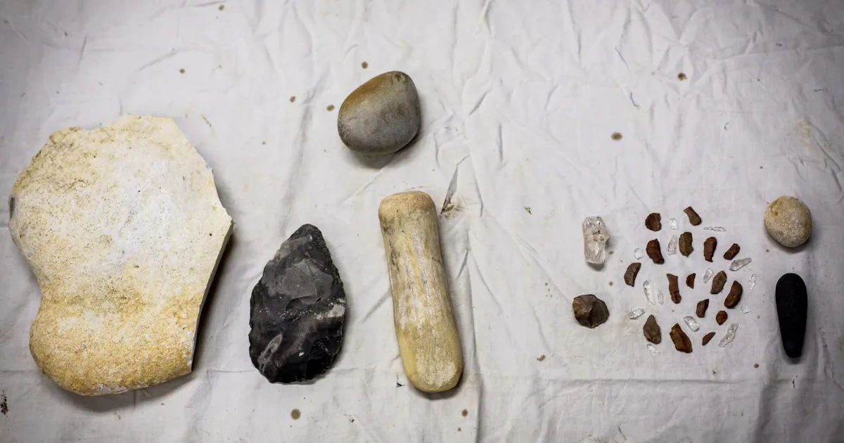 Early Ruler Like Tools Ancient Humans' Use of Small Tools Is a Huge Reason We Are Unique
