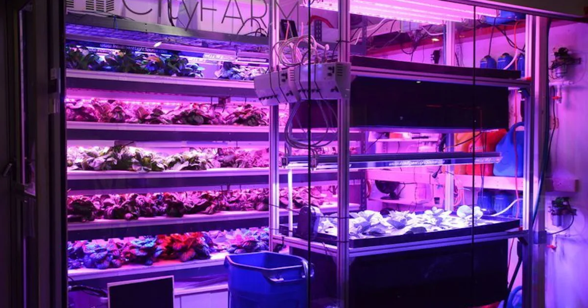 Mini Computer Farm Urban Farming as a