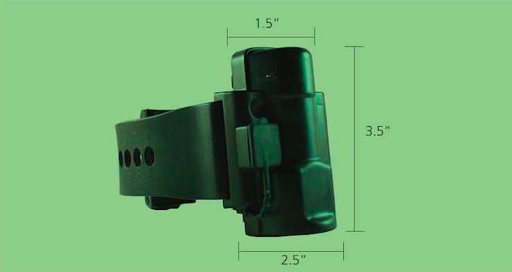 An ankle monitor in front of a green background with the size specifications