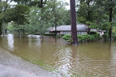 Hurricane Harvey Flooding and Damage (36239350944)