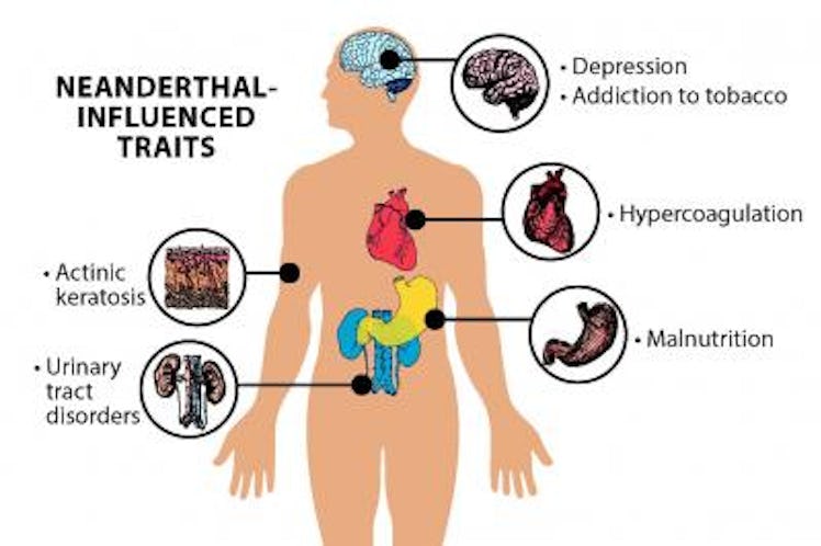 Neanderthal traits