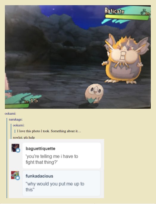 pokemon meme rowlet