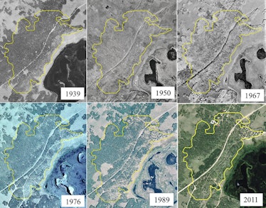 pando map