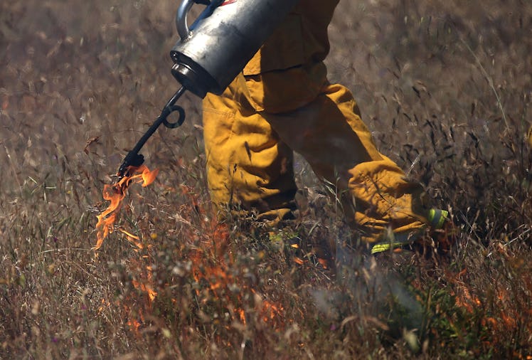 A land manager burning a field responsibly